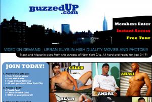 Buzzed Up porn review