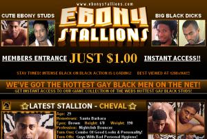 Ebony Stallions porn review
