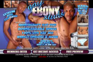 Gay Ebony Studs porn review