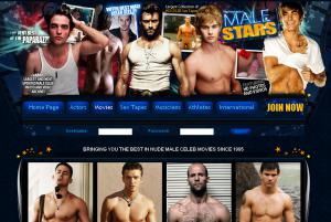 Male Stars porn review