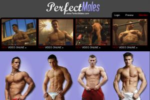 Perfect Males porn review