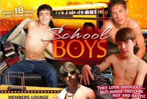 Schoolboys.ws porn review